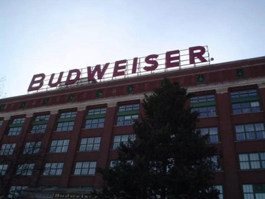 Photo de la bière Budweiser