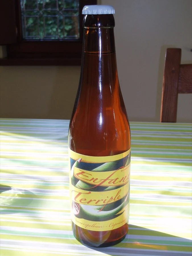 Photo de la bière Enfant Terriple