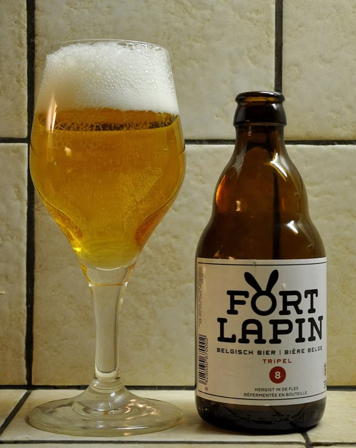 Photo de la bière Fort Lapin