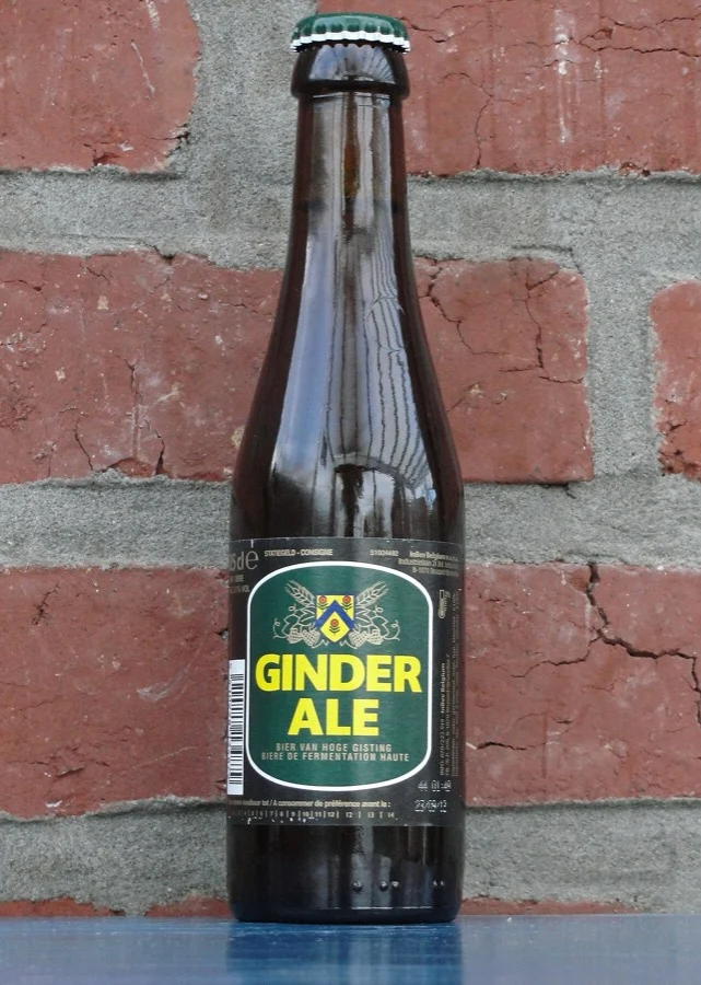 Photo de la bière Ginder Ale