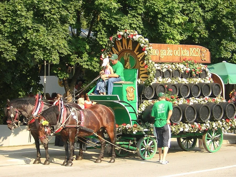 Photo de la bière Laško