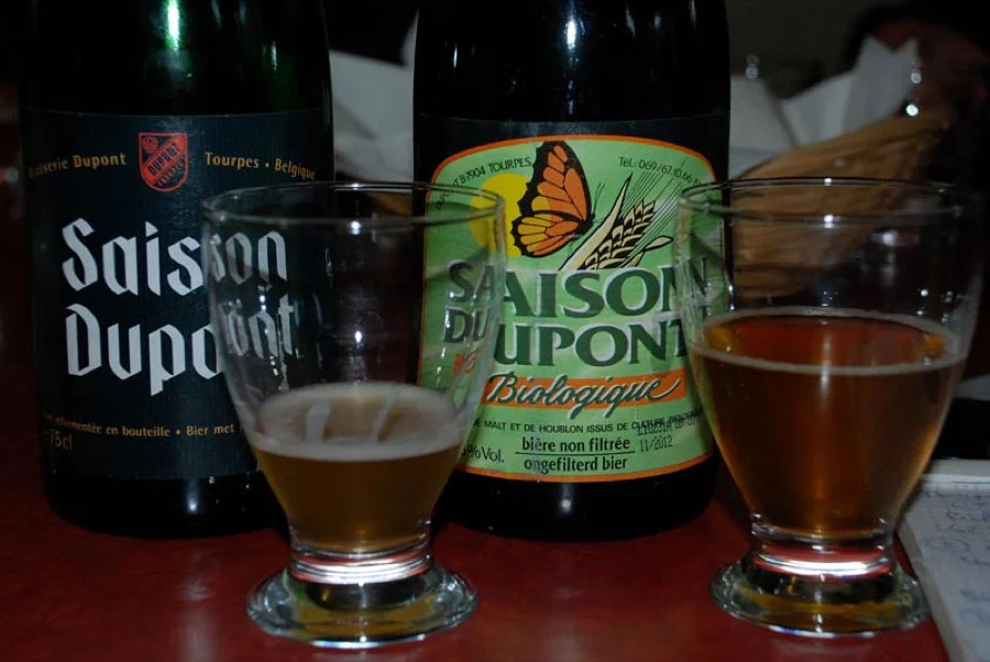Photo de la bière Saison Dupont