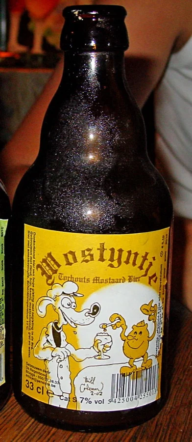 Photo de la bière Wostyntje